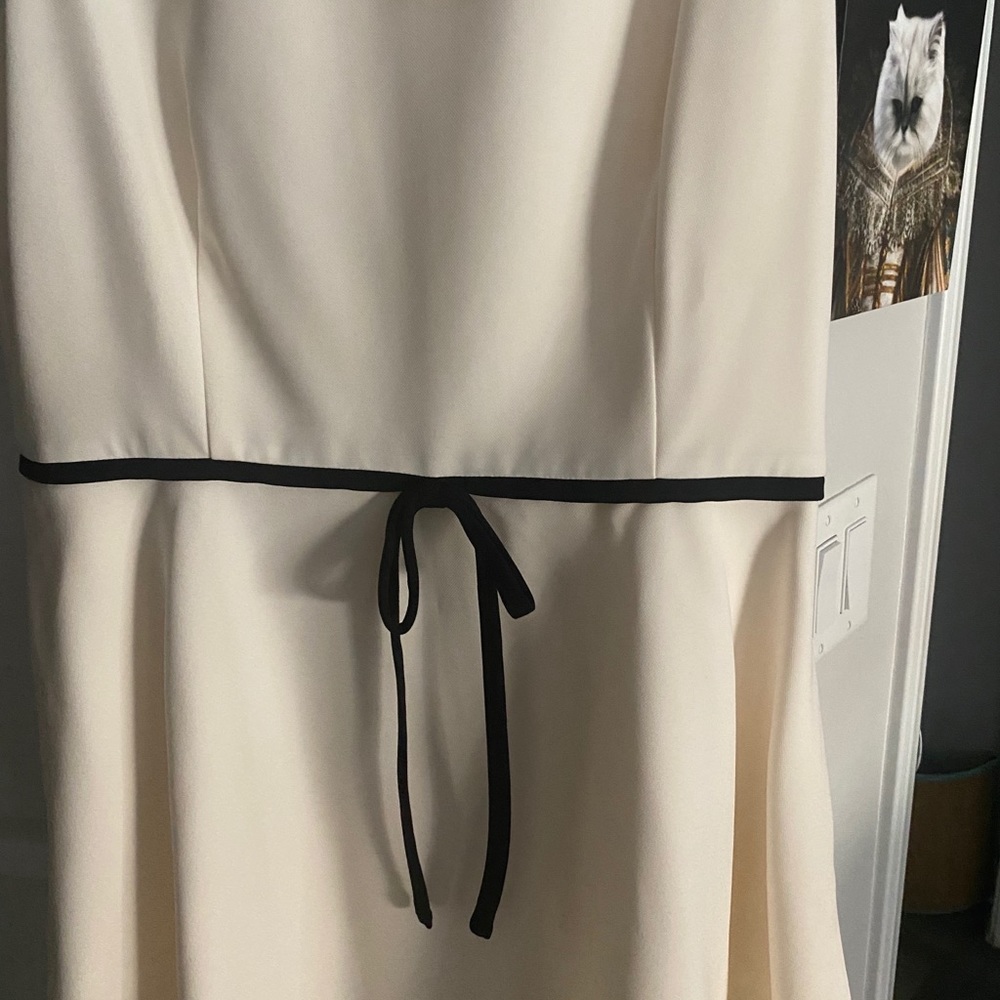 Ted Baker cream detailed dress 👗 size 4 - Picture 5 of 6
